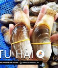 Hình ảnh: Tu hài tươi sống giàu dinh dưỡng chỉ 420k/kg