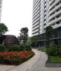 Hình ảnh: Cần bán căn hộ chung cư Tràng an complex,01 phùng chí kiên, cầu giấy