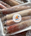 Hình ảnh: Mực ống tươi ngon giá chỉ 280k/kg tại hải sản bốn mùa
