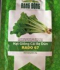 Hình ảnh: Hạt giống cải bẹ dún Rạng Đông