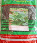 Hình ảnh: Hạt giống mồng tơi lá to Phú Nông 1kg