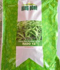 Hình ảnh: Hạt giống rau muống lá tre Rạng Đông 1kg