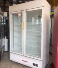 Hình ảnh: Tủ mát Sanaky 1000L