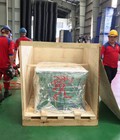 Hình ảnh: Đóng thùng gỗ chuyển đi các nước phương tây