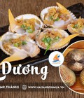 Hình ảnh: Cung cấp sò dương tươi sống giá cực tốt mỗi ngày chỉ từ 240k/kg