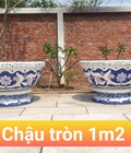 Hình ảnh: Chậu hoa dán sành sứ