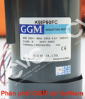 Hình ảnh: Động cơ không chổi than GGM Hàn Quốc K9H30B ổ đĩa MD100 và MD200