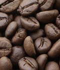 Hình ảnh: Cà phê robusta loại 1 giá sỉ bình ổn 1 năm tại Bạc Liêu
