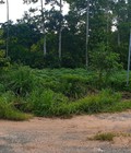 Hình ảnh: Bán 3 lô đất thổ cư tận 2 mặt tiền tại Phước Bình. Đầu tư trên cả tuyệt vời