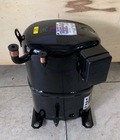 Hình ảnh: Cung cấp máy nén copeland 2,5HP CRFQ 0250 TFD 522 giá tốt