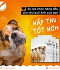 Hình ảnh: Thức ăn cho chó mèo Dr.Glint