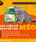 Hình ảnh: Cát vệ sinh cho mèo Cat’s Best