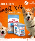 Hình ảnh: Thức ăn cho chó Royal Canin Medium Puppy