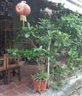 Hình ảnh: Sang nhượng quán cafe diện tích 40 m2 x 5 tầng hai mặt tiền 10 m x 4 m gần Phố Lê Lai Q.Hà Đông Hà Nội