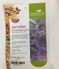Hình ảnh: Hạt giống cải xoăn kale tím F1508