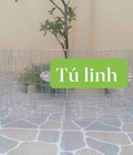 Hình ảnh: Lồng chim bồ câu gọn bền chất lượng, 0366425652
