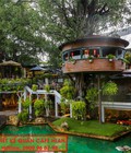 Hình ảnh: Thiết kế quán cafe trên cây cổ thụ tại Sài Gòn