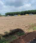 Hình ảnh: Bán Đất Bình Dương Thổ Cư 100% giá chỉ 5xx