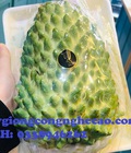 Hình ảnh: Cung cấp cây giống : Na Sầu Riêng Thái Lan