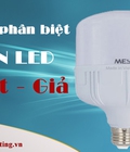 Hình ảnh: Mua đèn led bulb ở đâu giá rẻ