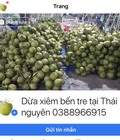 Hình ảnh: Đặc sản dừa Xiêm Bến Tre chính hiệu