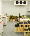 Hình ảnh: ANKACO Báo giá lắp đặt kho lạnh bảo quản hoa tươi tại Đà Lạt