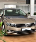 Hình ảnh: Volkswagen Passat GP vàng cát Đẳng cấp và sang trọng