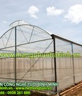 Hình ảnh: Màng nhà kính Israel bình minh, nhà kính bình minh, lưới chắn côn trùng bình minh, nhà lưới bình minh