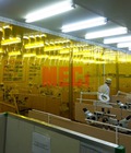 Hình ảnh: Rèm Nhựa PVC Vàng trong-Vàng Gân( Chống Côn trùng)