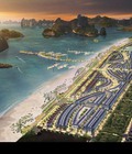 Hình ảnh: Green Dragon City cơ hội đầu tư đất nền ven biển đáng giá nhất tại trung tâm thành phố.