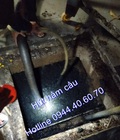 Hình ảnh: Hút hầm cầu cụm công nghiệp Phạm Văn Côi