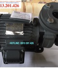 Hình ảnh: Máy bơm nước Teco 3Hp