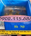 Hình ảnh: Bồn nhựa nuôi thủy sản, bồn nhựa nuôi cá cảnh, bồn nhựa nuôi lươn, bồn nhựa chữ nhật, bồn nhựa nuôi cá giống,