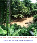 Hình ảnh: Hạ giá từ 1,5 tỷ xuống 1,15 tỷ, lô đất 450m2 nhà vườn xã Tân Bình, Vĩnh Cửu, đất thổ cư