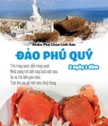 Hình ảnh: Chương trình du lịch đảo Phú Quý 2N1Đ