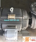 Hình ảnh: Máy bơm nước Teco 15Hp