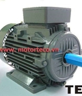 Hình ảnh: Động cơ Teco AESV1S 4P 1HP