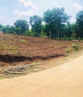 Hình ảnh: Cần sang nhượng hơn 4 sào đất tại xã Phước Bình ,Long thành