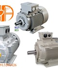 Hình ảnh: Động cơ motor điện teco AESV 4p 3hp