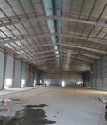Hình ảnh: Cần cho thuê xưởng Tân Uyên, Bình Dương
