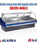 Hình ảnh: Quầy thịt nguội Alaska GN12C 04K