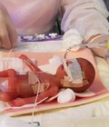 Hình ảnh: Bà bầu cần bổ sung dinh dưỡng như thế nào để ngăn ngừa thiếu máu thiếu sắt