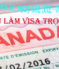 Hình ảnh: Dịch vụ làm visa canada trọn gói