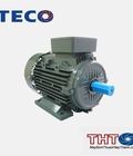 Hình ảnh: Motor Teco 20 HP