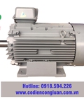 Hình ảnh: Động cơ Motor điện Hitachi 0.2kw 400kw, giá mới nhất