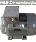 Hình ảnh: Bảng giá động cơ motor điện Siemens mới nhất 2020