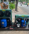 Hình ảnh: ANKACO Phân phối cụm máy nén dàn ngưng Danfoss 7hp MT80HP4VM cho kho lạnh, kho đông