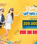 Hình ảnh: Vietnam Airlines tung vé Tết 2021 giá từ 209.000 VNĐ/lượt