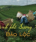 Hình ảnh: Đất du lịch tp bảo lộc đà lạt giá rẻ