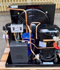 Hình ảnh: Lắp đặt cụm máy nén lạnh nhập khẩu Tecumseh 2hp TFH4524ZHREP giá tốt